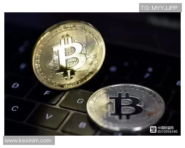 ZEM冬瓜强突破引领市场新潮流助力投资者实现财富增值